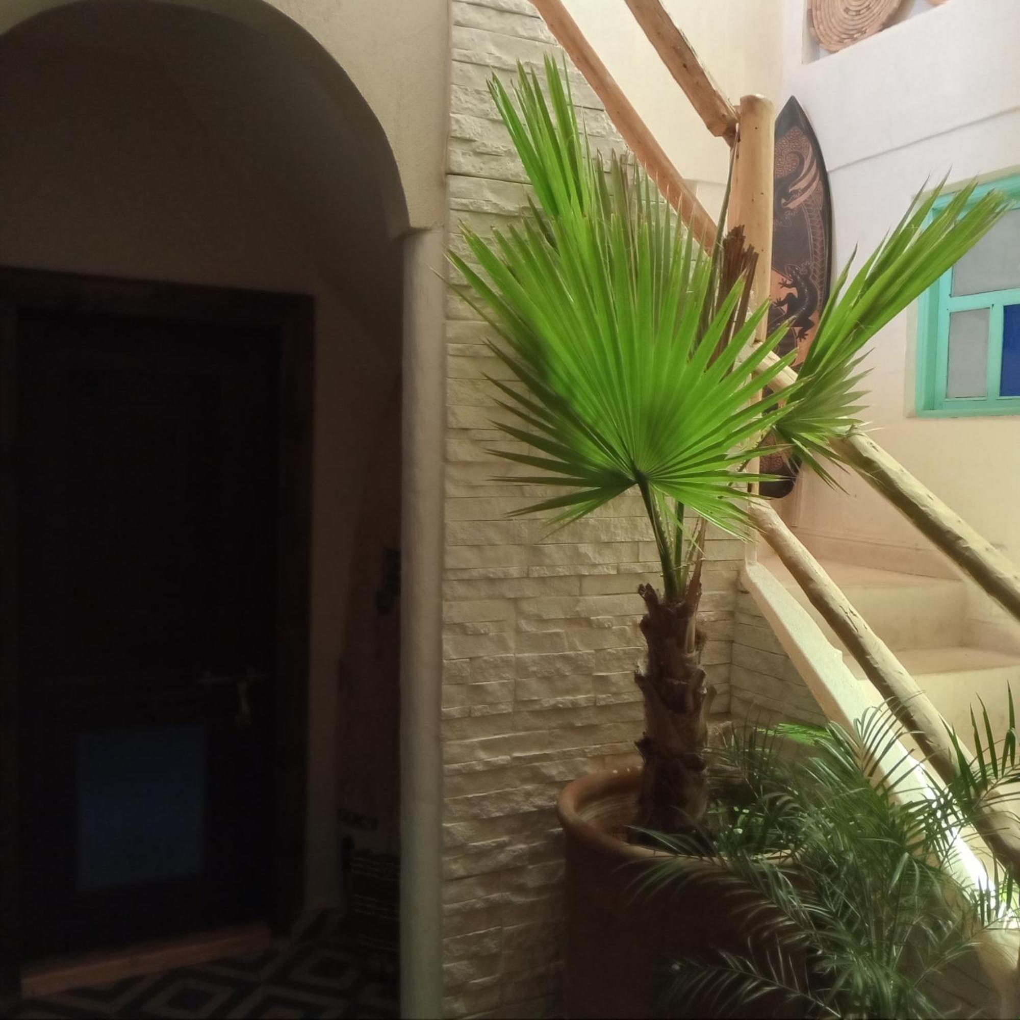 Moroccan Boho Surf House Агадир Екстериор снимка